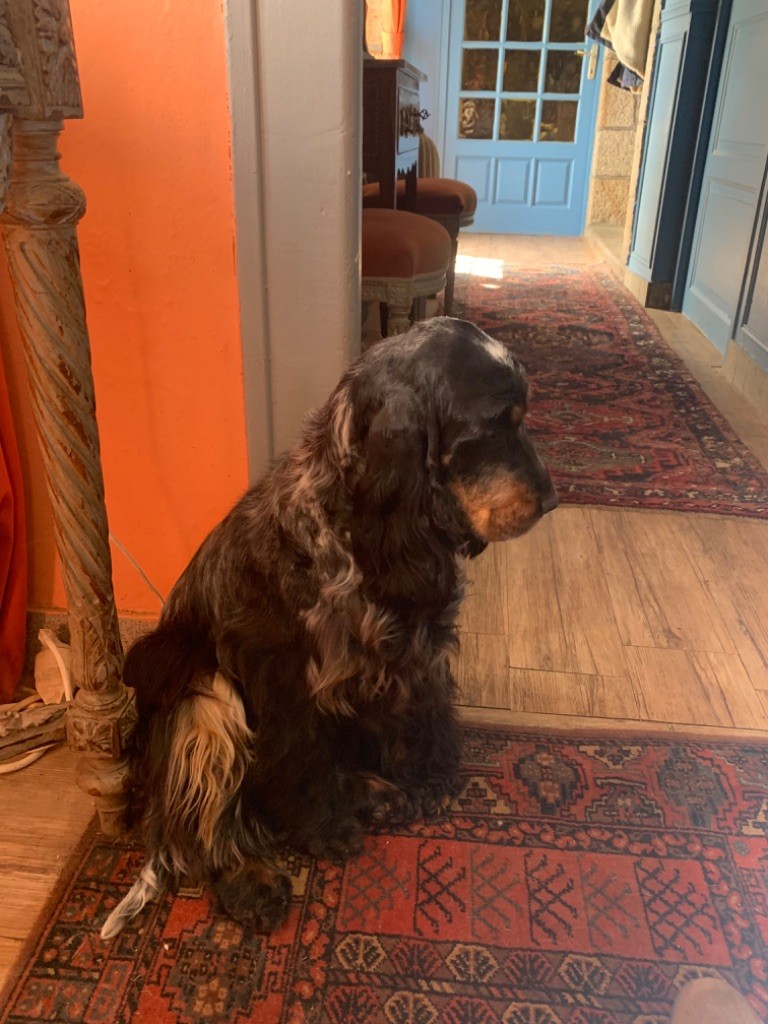 Romy De La Vallée Des Alleuds